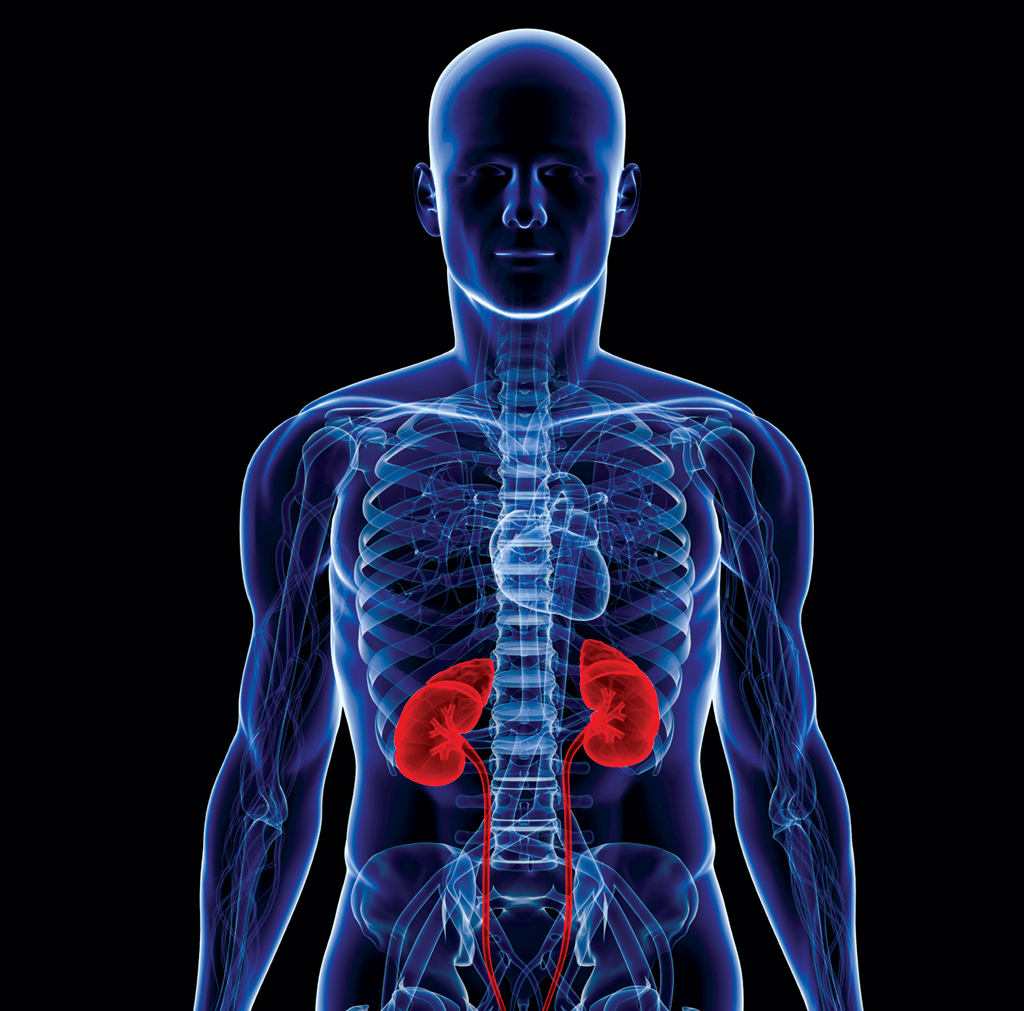 Homeopathic Remedies For Chronic Renal Failure